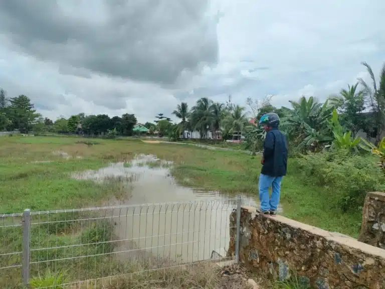 Embung Citra Gunung Kupang Dipenuhi Rumput