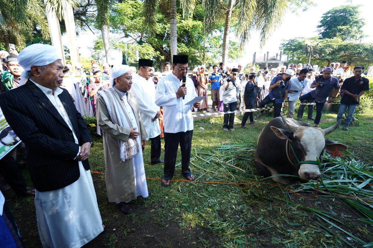 sapi presiden gubernur kalsel h sahbirin noor menyerahkan sapi kurban dari presiden