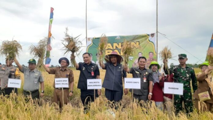 Poktan Karya Bakti Sukses Panen Padi 8 Ton Per Hektar