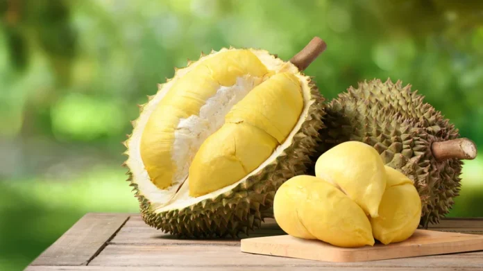 Tips Konsumsi Durian Dari Ahli Gizi RSD Idaman 