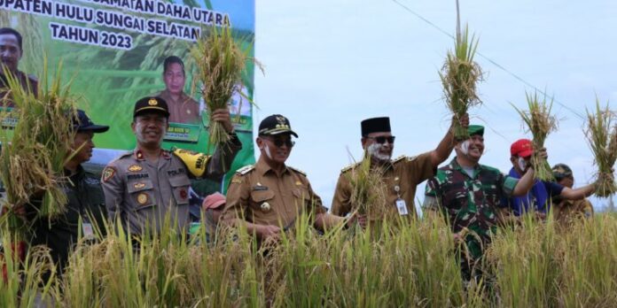 Padi Apung di Desa Hamayung, HSS Panen Raya