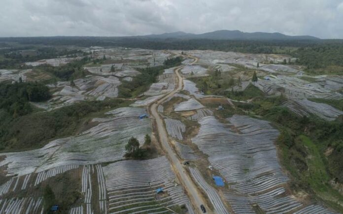 food-estate-humbang-hasundutan Pemerintah Godok Perpres Program Food Estate
