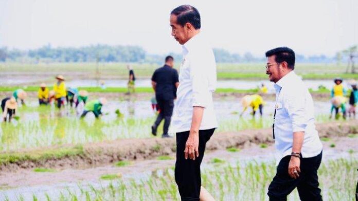 Presiden Apresiasi Penggunaan Pupuk Organik