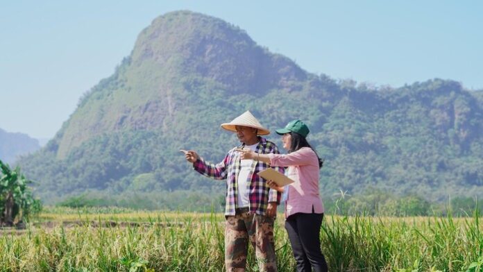 Sensus Pertanian 2023 Mulai Dilaksanakan BPS