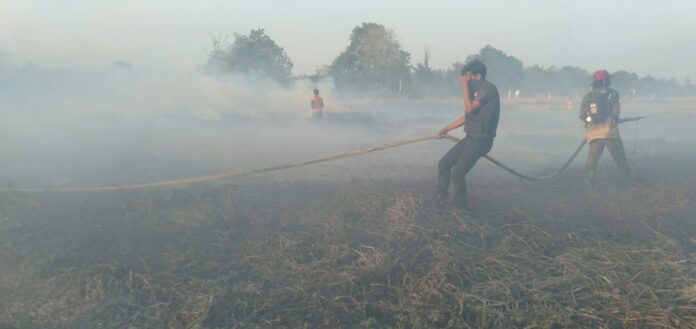 asap karhutla Karhutla di Jalan Gubernur Syarkawi