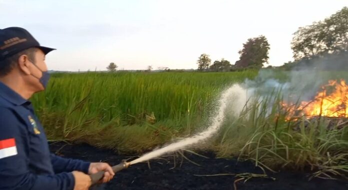 berdekatan dengan pemukiman karhutla dekat pemukiman jadi prioritas pemadaman