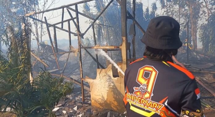 Karhutla di Perkebunan Kelapa Sawit Musnahkan Dua Unit Rumah