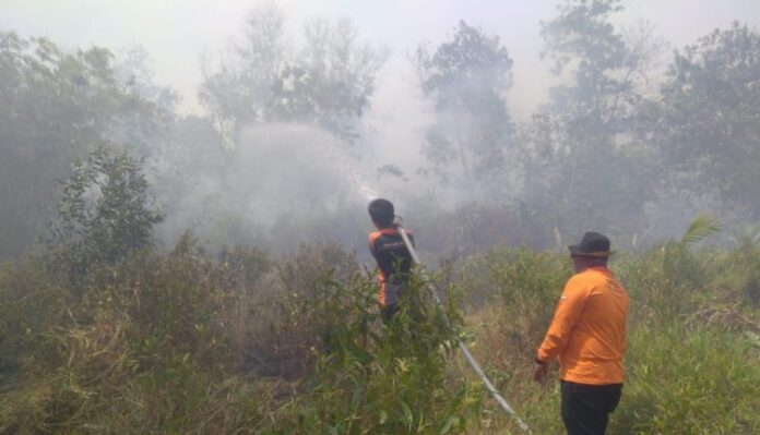 karhutla di kecamatan sungai tabuk sungai tabuk kebakaran