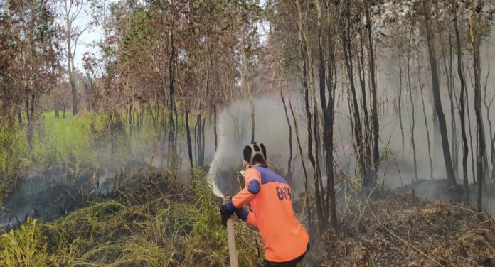 Karhutla Membakar 561,32 Hektare di Kabupaten Banjar