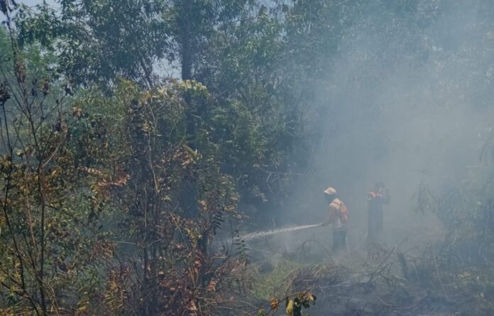 Kabupaten Banjar, Tiada Hari Tanpa Karhutla