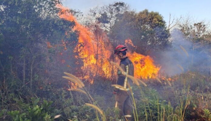 nol laporan karhutla