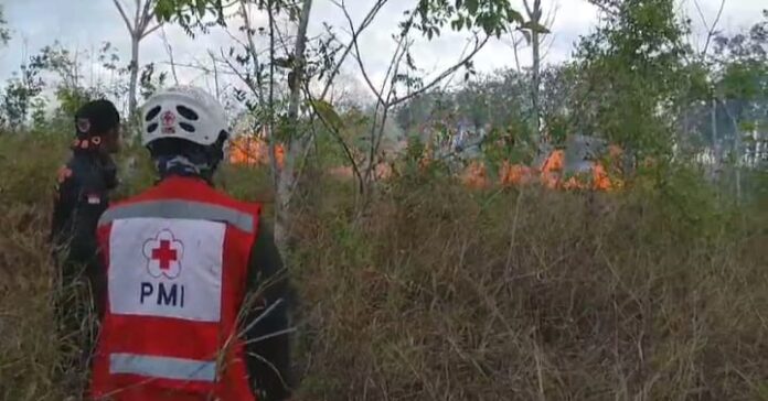 Karhutla Di Tiga Kecamatan, 23,5 Hektare Lahan Hangus