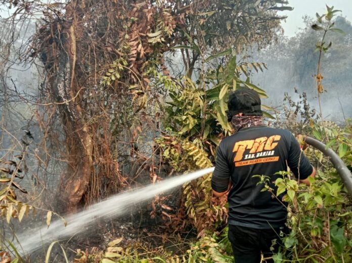 luasan lahan terbakar terus bertambah