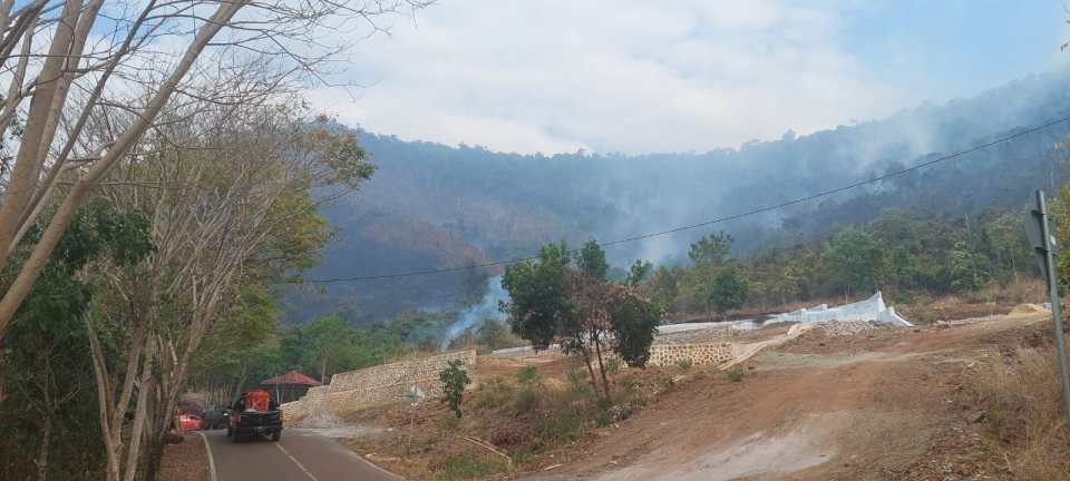 tahura sultan adam penampakan asap dari tahura sultan adam