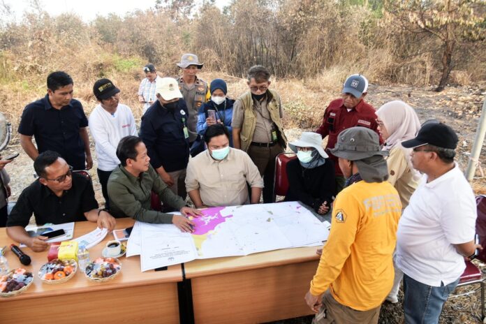 Wamen LHK Tinjau Langsung Pemadaman Karhutla di Ring 1