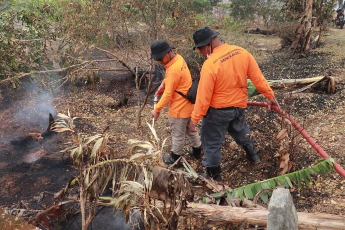 Pemprov Kalsel Terus Gerakkan Pemadaman Karhutla