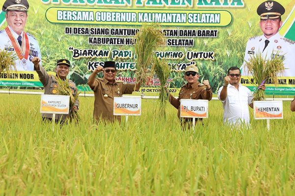 IMG-20231010-WA0029 Bersama Poktan Bina Baru Paman Birin Panen Raya Padi