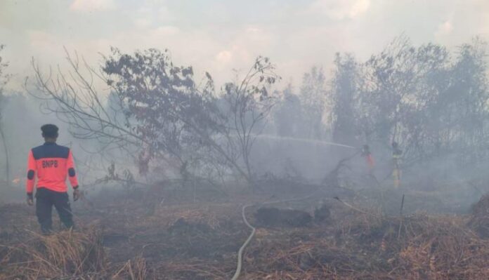 karhutla kembali terjadi di kawasan gubernur syarkawi