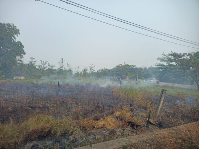 Karhutla Banjarbaru Telah Bakar 945 Hektare Lahan