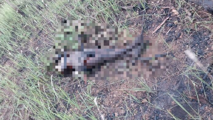 mayat laki-laki ditemukan di lahan cempaka