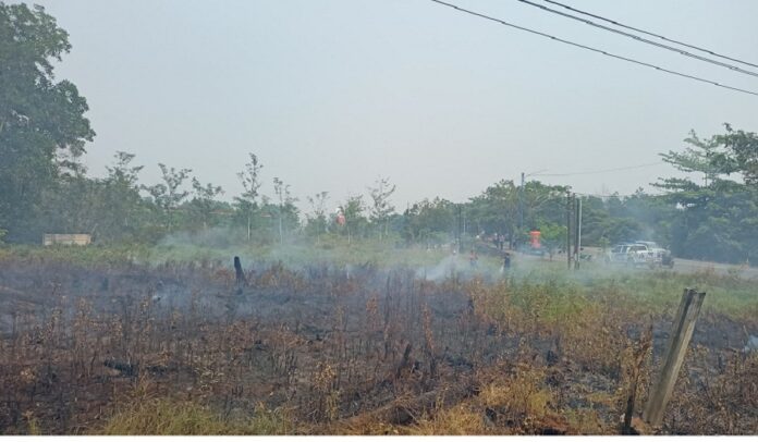 WhatsApp Image 2023-10-09 at 20.07.50 menkopulhukam sebut kabut asap tak sampai lintas negara