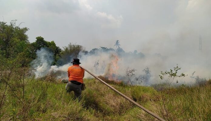 KLHK Pastikan Tak Ada Asap Lintas Batas ke Malaysia