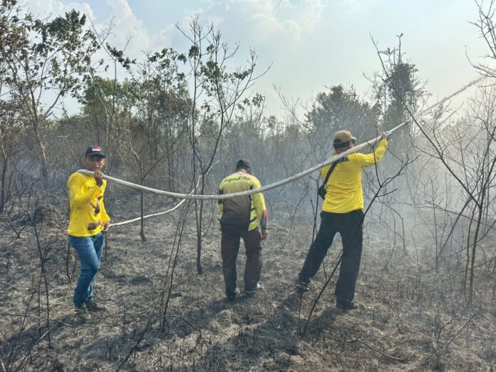 elang darat dapamkan karhutla