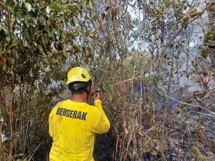 Tim Elang Darat Padamkan Karhutla di Gunung Kupang