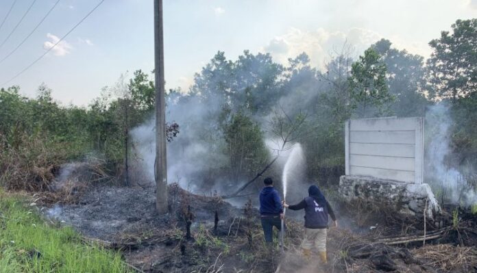 karhutla lagi di sungai tabuk karhutla kembali terjadi di sungai tabuk