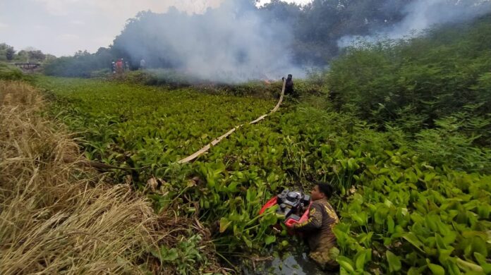 Sehari Karhutla di 8 Lokasi, 45 Ha Terbakar