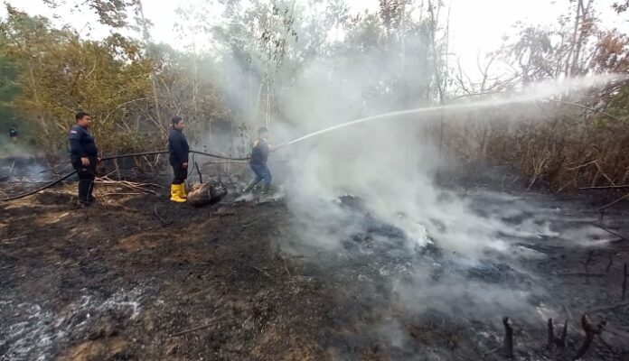 Karhutla Hanguskan Perkebunan Warga Jingah Habang