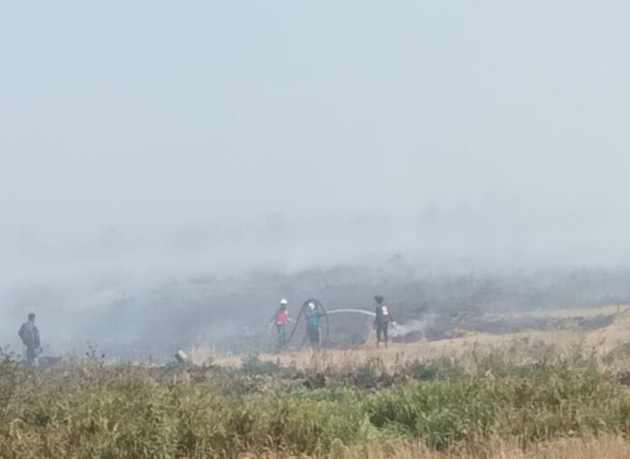 Perbatasan Desa Melayu-Pematang Baru Terbakar, 22 Ha Hangus