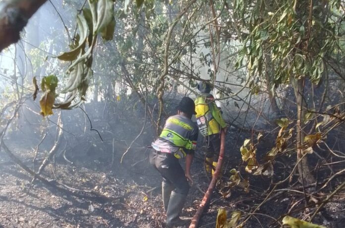Karhutla kembali terjadi Desa Melayu Ilir Kecamatan Martapura Timur