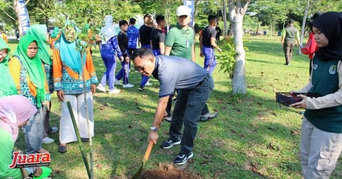 ikl di kota banjarbaru masih 30 persen