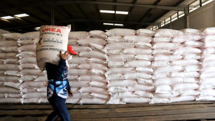 pemerintah tambah anggaran pupuk subsidi