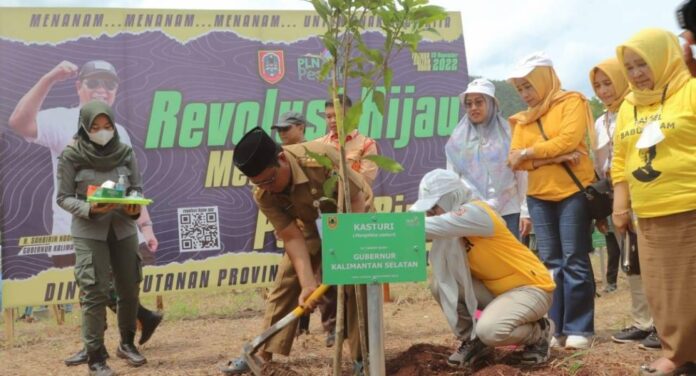 Lahan Kritis di Kalsel Berkurang, Hasil Dari Revolusi Hijau
