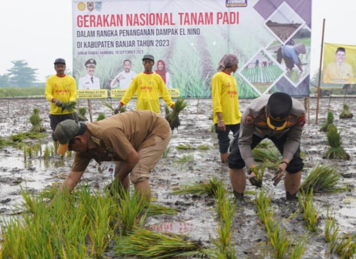 sektor pertanian Sektor Pertanian Menopang Pertumbuhan Ekonomi