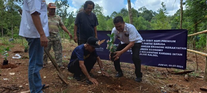 Ketua DPC Partai Garuda lakukan penanaman kopi penanaman Kopi
