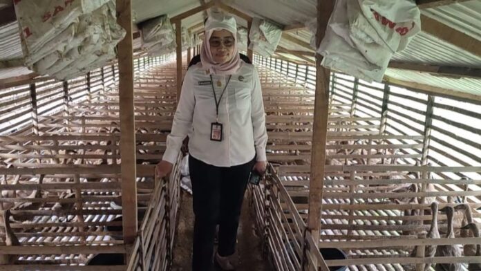 Peluang bisnis ternak itik di Kalimantan Selatan (Kalsel) semakin menjanjikan dengan potensi manfaat dwiguna dari telur dan daging yang memiliki nilai jual tinggi.