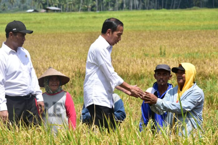 Jokowi Apresiasi Gebrakan Mentan Lakukan Percepatan Tanam