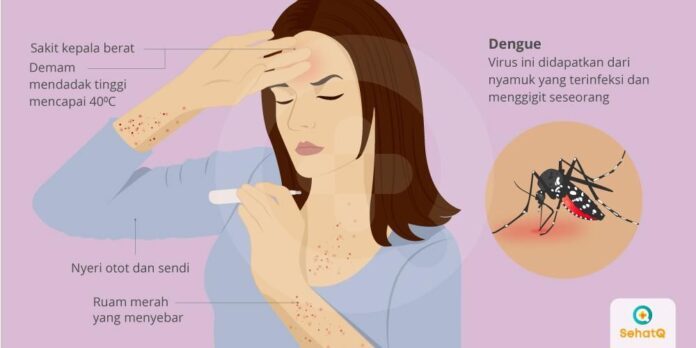 Kasus DBD Masih Meningkat, Masyarakat Diminta Waspada