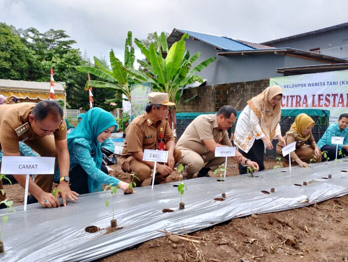 IMG_20240422_102542 KWT Citra Lestari Manfaatkan Lahan Kosong Untuk Bertani
