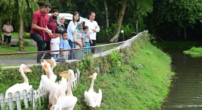 presiden ajak cucu wisata satwa wisata satwa