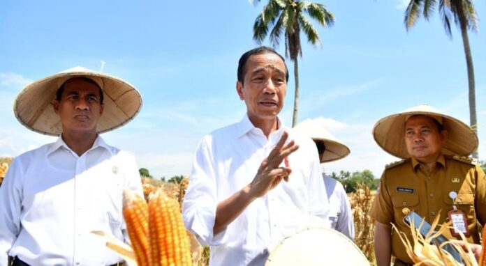 presiden bangga atas kemenangan timnas apresiasi kemenangan Timnas