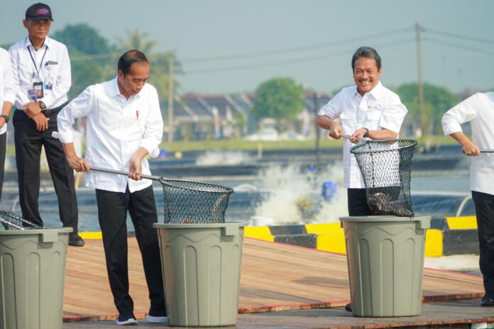 budi daya ikan nila di darat budi daya ikan nila salin