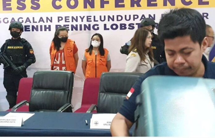 Penyeludupan BBL Senilai Rp 9,8 Miliar ke Singapura Digagalkan Petugas