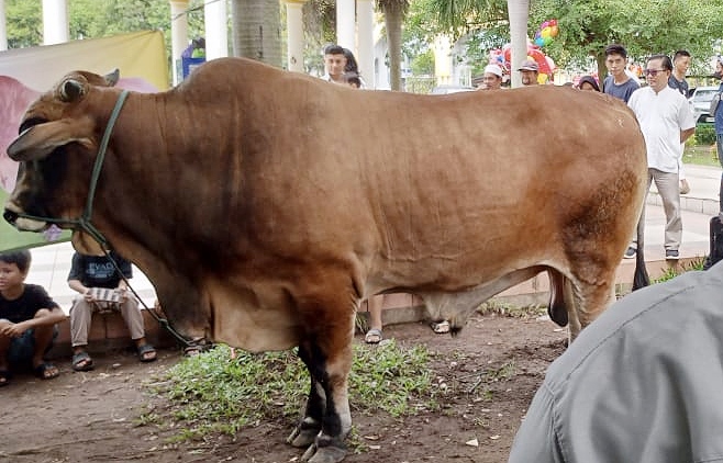 IMG-20240616-WA0008 Paman Birin Serahkan Bantuan Presiden ke Masjid Agung Al-Karomah