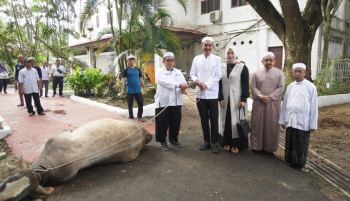 IMG-20240619-WA0005-750x430 Sembelih 6 Sapi, Pemkab Banjar Akan Bagikan ke Pegawai dan Masyarakat