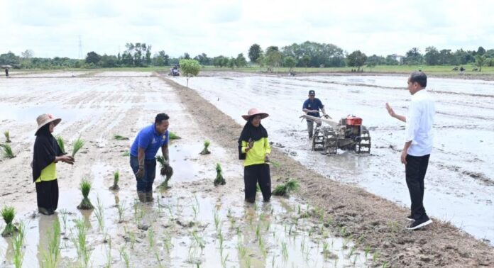 tinjau pompanisasi di Kotim, Kalteng.
