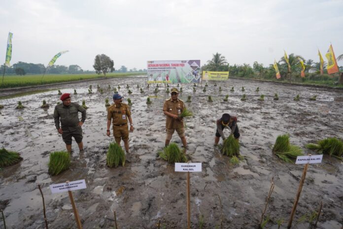 program cetak sawah rakyat swasembada pangan melalui program cetak sawah rakyat